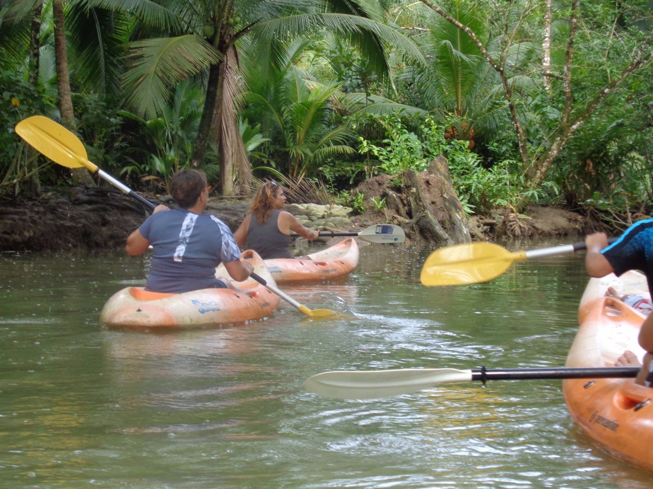 River Kayak Half a Day